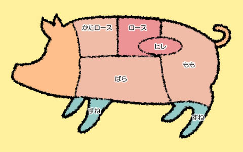 豚の部位画像
